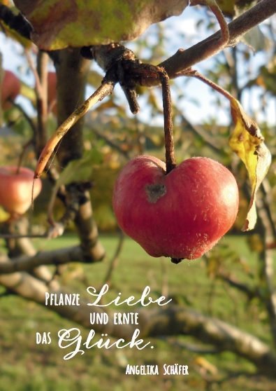 Postkarte "Pflanze Liebe"